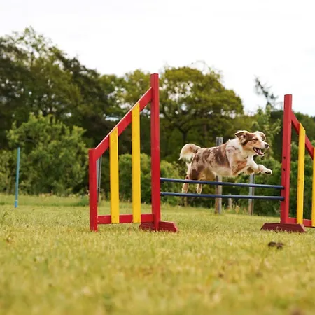 Hof Köhne - Haus Am Reitplatz 3er Ferienhaus Schmallenberg