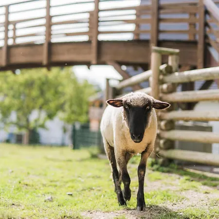 Hof Koehne - Haus Am Reitplatz 3er