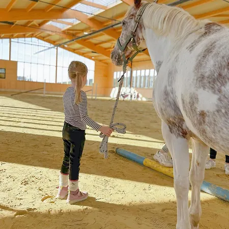 Ferienhaus Hof Köhne - Haus Am Reitplatz 3er