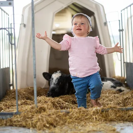Ferienhaus Hof Köhne - Haus Am Reitplatz 3er Schmallenberg