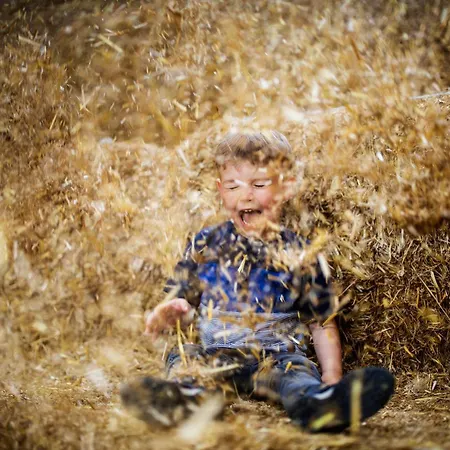 Hof Köhne - Haus Am Reitplatz 3er