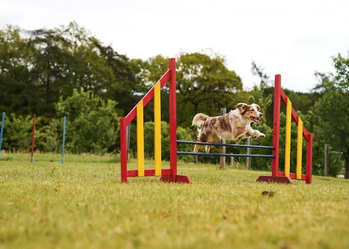 Hof Koehne - Haus Am Reitplatz 3er Vakantiehuis Schmallenberg