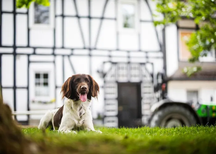 Hof Koehne - Haus Am Reitplatz 3er Vakantiehuis *