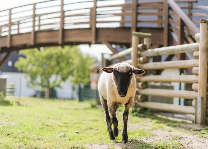 Hof Koehne - Haus Am Reitplatz 3er