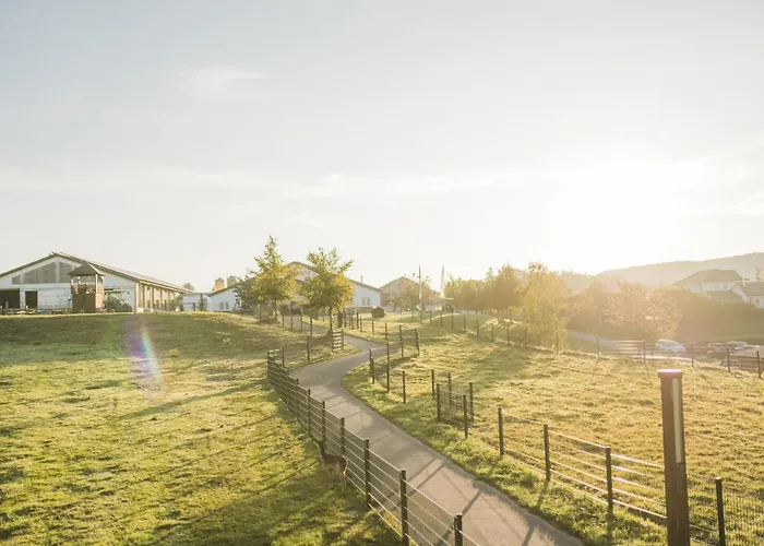 Hof Koehne - Haus Am Reitplatz 3er * Schmallenberg