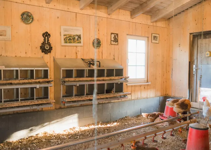 Vakantiehuis Hof Koehne - Haus Am Reitplatz 3er