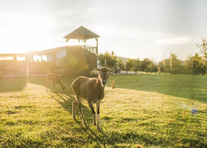 Hof Koehne - Haus Am Reitplatz 3er * Schmallenberg