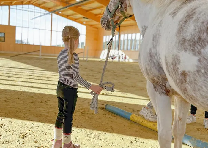 Vakantiehuis Hof Koehne - Haus Am Reitplatz 3er